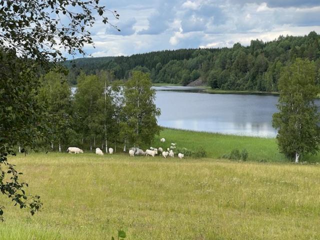 Annies Hus Feriehus Årjäng